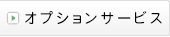 �I�v�V�����T�[�r�X